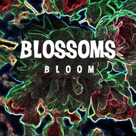 Blossoms - Cut Me And I'll Bleed