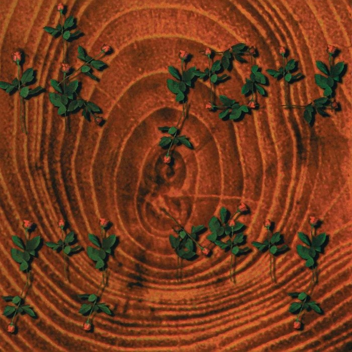 Van Dik Hout - Alle Duizend Redenen