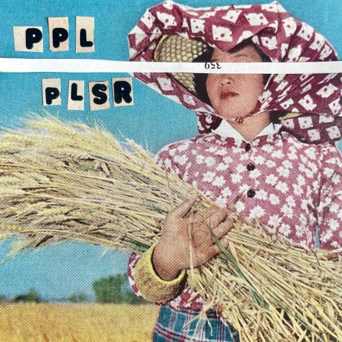 Fuzzy Teeth - PPL PLSR