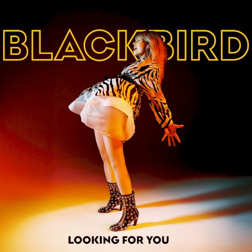 Blackbird - Looking For You