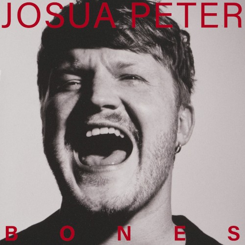 Inside My Mind - Josua Peter - 2026-06-18