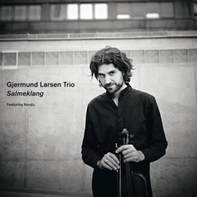 Gjermund Larsen Trio - Trøstesang