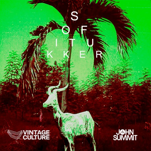 Sofi Tukker , Gorgon City - Drinkee (Vintage Culture & John Summit Remix)
