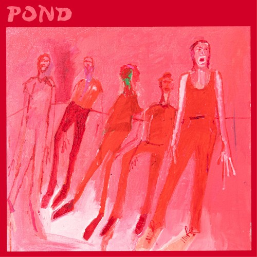 Terrestrials - Pond - 2026-03-17