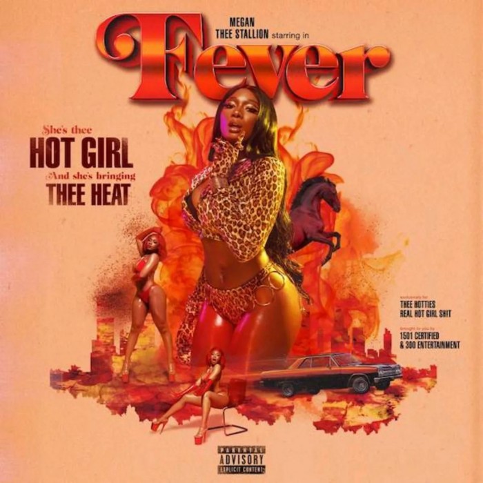 Megan Thee Stallion Ft. DaBaby - Cash Shit