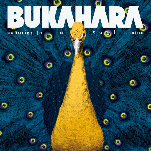 Bukahara - We Are Still Here!