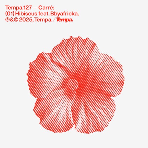 Hibiscus - Carré & Bbyafricka - 2026-01-23