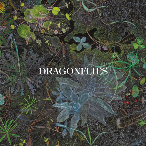 Dragonflies - Slower