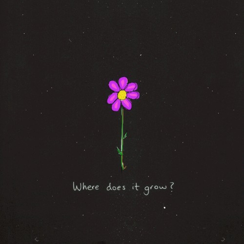 Robert Grace - Where Does It Grow