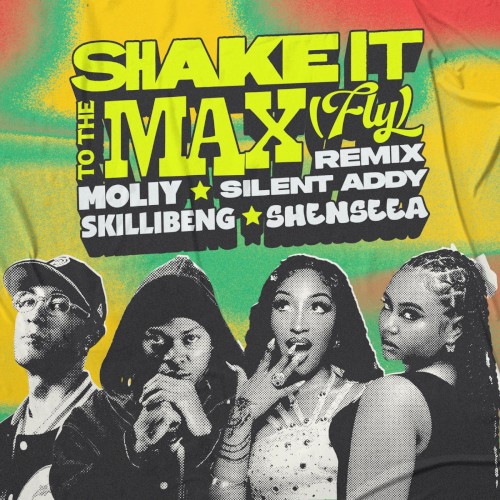 Shake It To The Max
