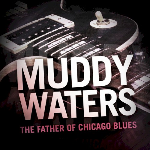 Muddy Waters - Got My Mojo Working (live)