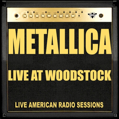 Cover van Enter Sandman (live)