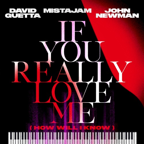 David Guetta X MistaJam X John Newman - If You Really Love Me (How Will I Know)