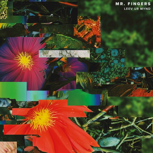 The Happening Thing - Mr. Fingers - 2026-04-20