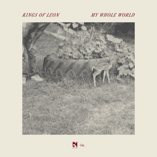KINGS OF LEON - My Whole World