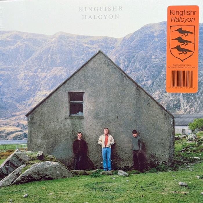 Kingfishr - Shadow
