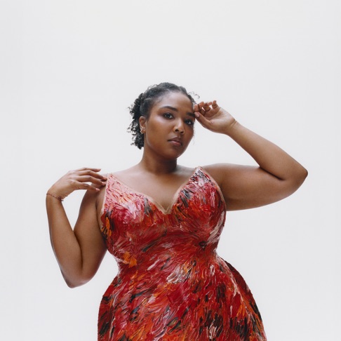 Lizzo - Whose hair is this