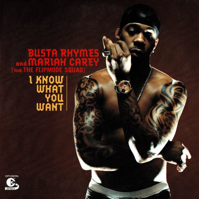 Busta Rhymes And Mariah Carey Feat. The Flipmode Squad - I Know What You Want