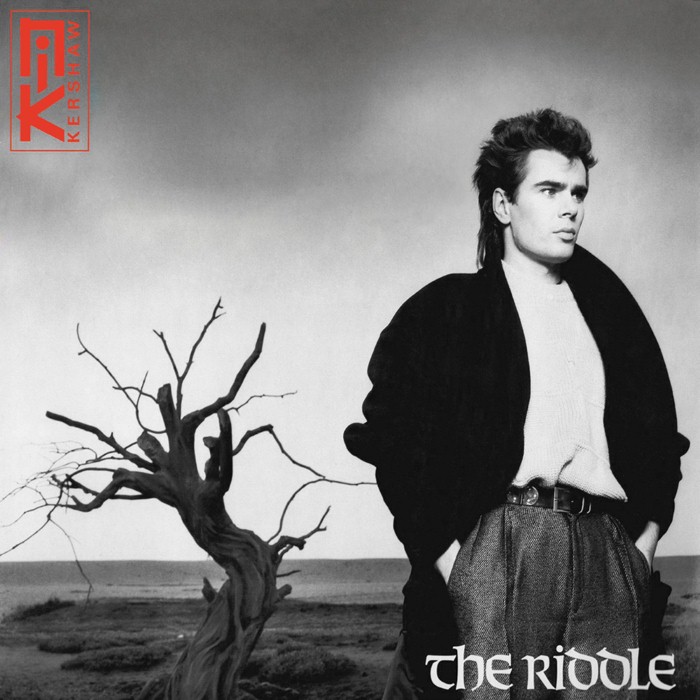 Cover van The Riddle