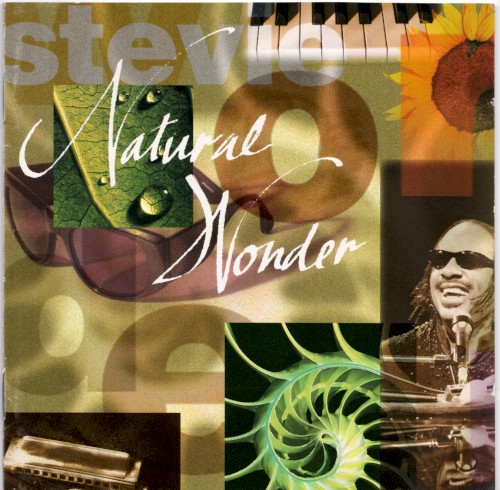 Stevie Wonder & Dayz Afro - I Wish