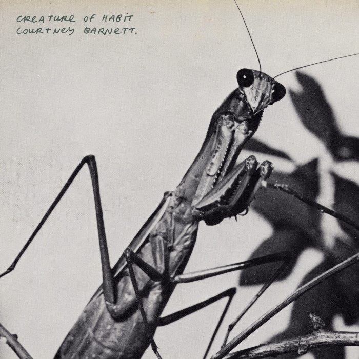 COURTNEY BARNETT - GREAT ADVICE
