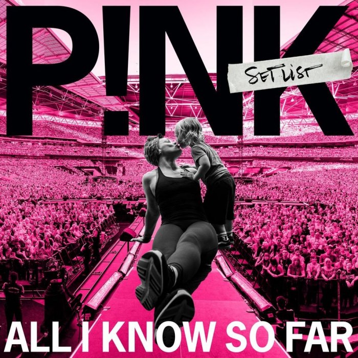 P!nk Ft Nate Ruess - Just Give Me A Reason