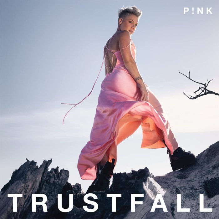 Marshmello X P!nk X Sting - Dreaming