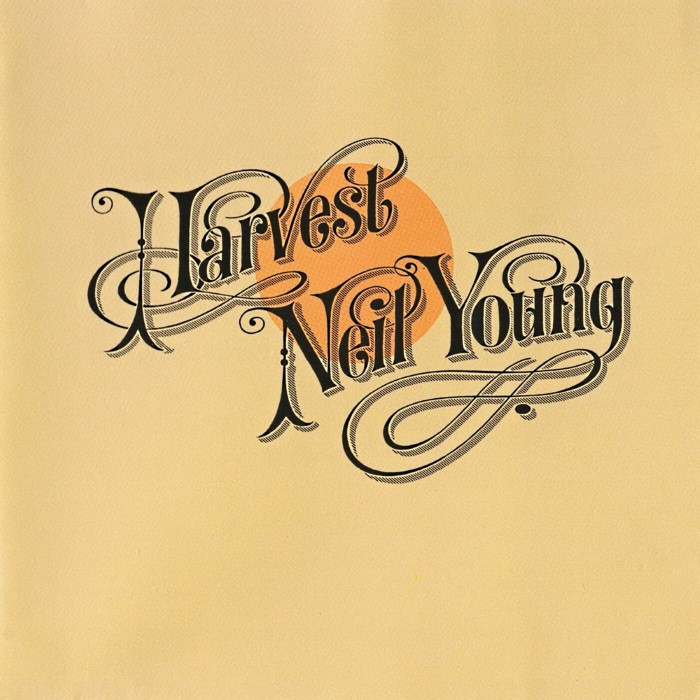 NEIL YOUNG - WORDS (BETWEEN THE LINES OF AGE)