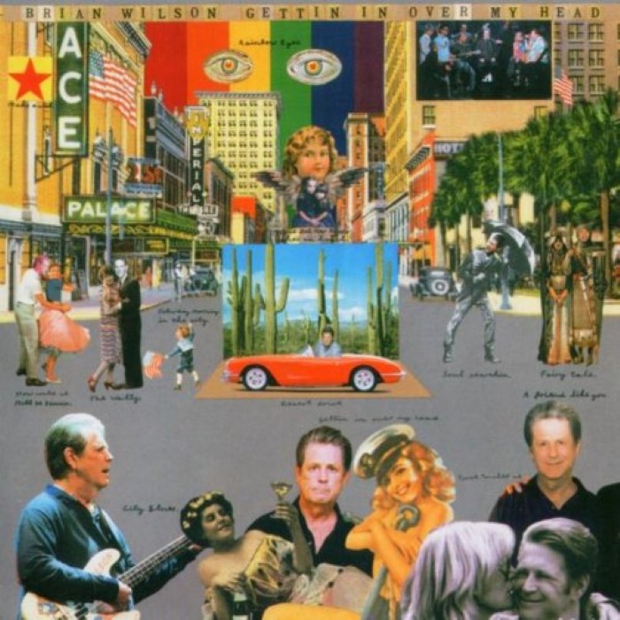 Brian Wilson - A friend like you