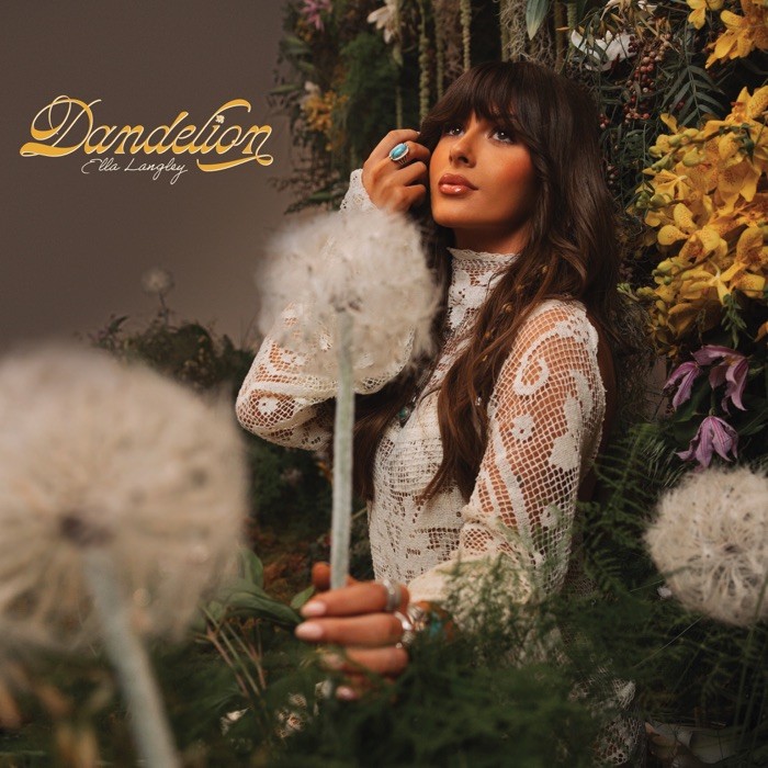 Choosin' Texas