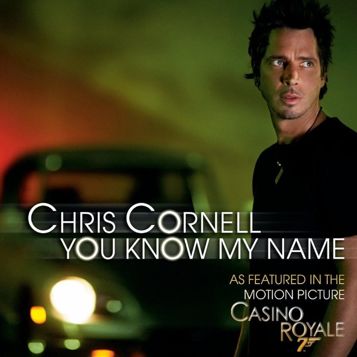 Chris Cornell - Black Hole Sun (acoustic)