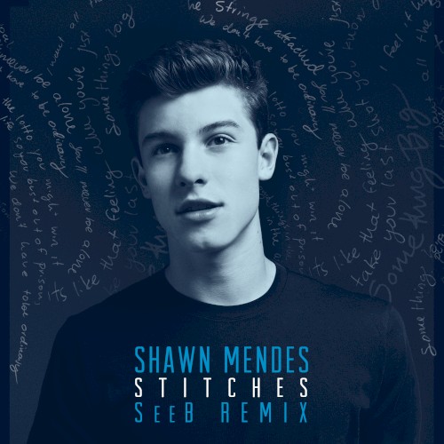 SHAWN MENDES FEAT. SEEB - STITCHES [SEEB REMIX]