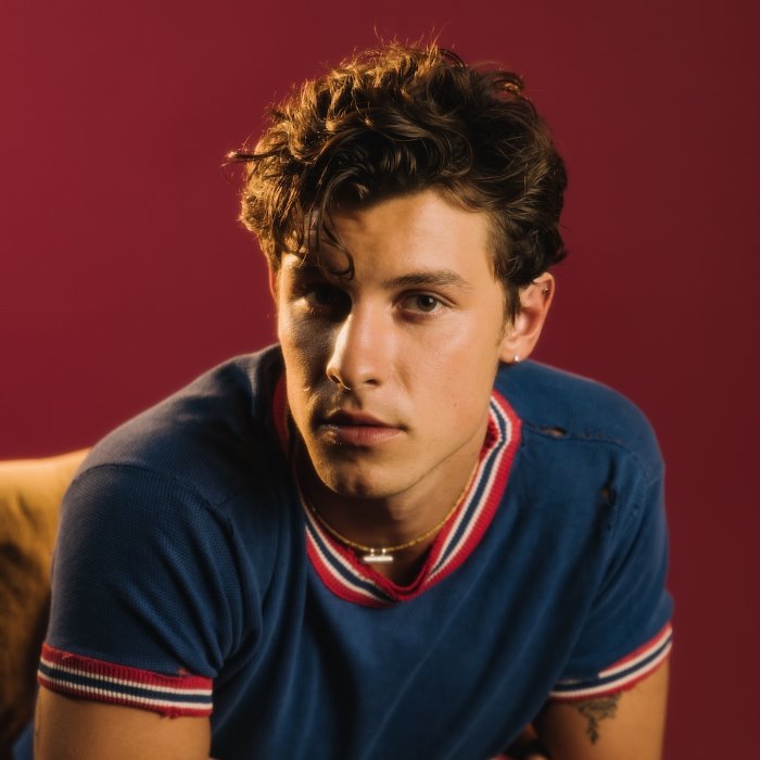 Shawn Mendes - There's Nothing Holdin' Me Back (acoustic)