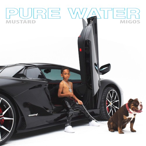  - Pure Water