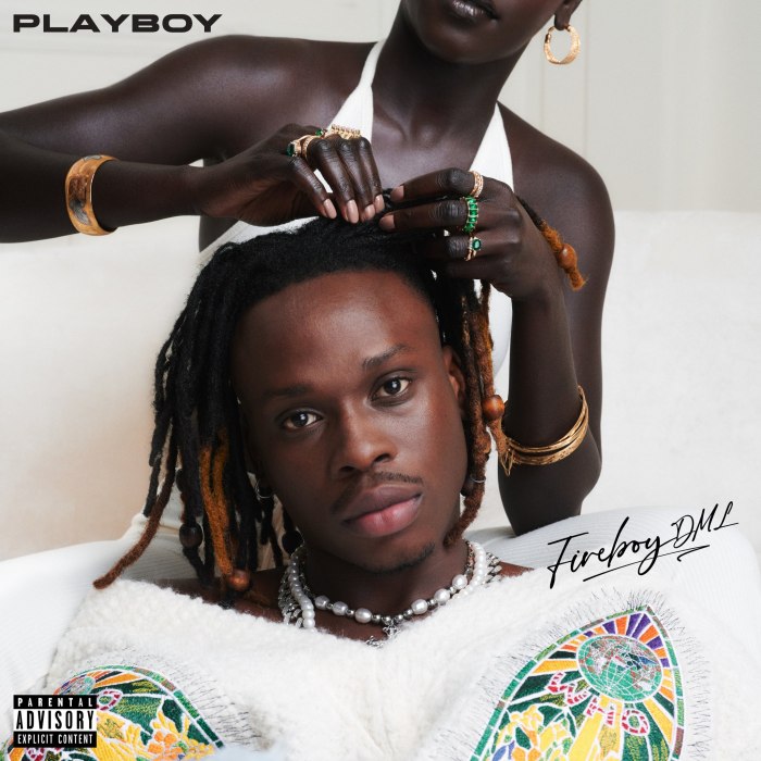 Fireboy Dml - Peru