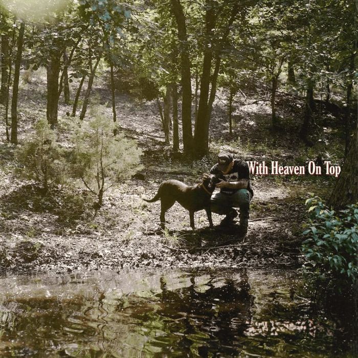 Say Why