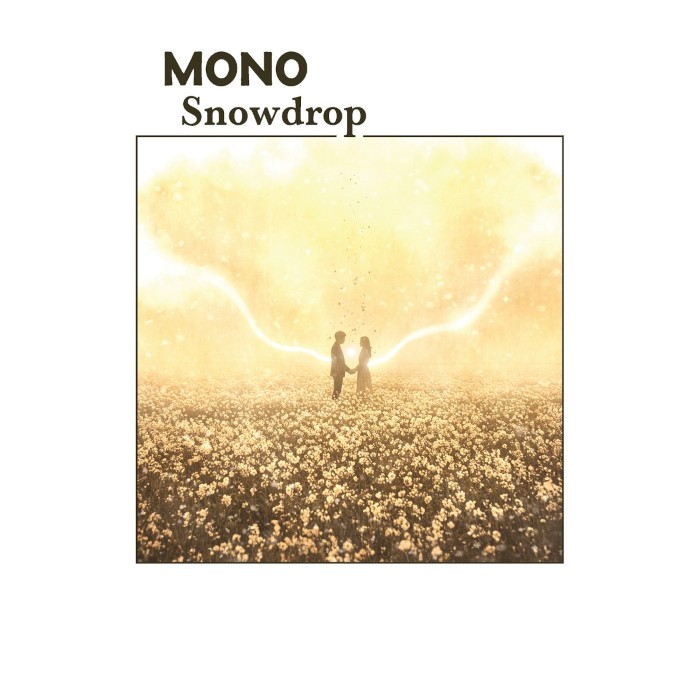 Shion - Mono - 2026-06-12